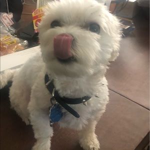 Meet your Posher, Jaquari